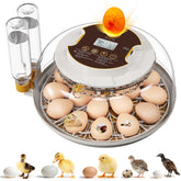 MQUPIN 18-egg incubator with 360-degree dome for seamless monitoring of eggs
