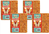 Mr Bird Flaming Hot Feast seed cake on a feeder attracts many birds quickly