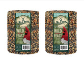 Mr. Bird Wild Bird Feast cylinder, 4 lb pack ready for year-round feeding.