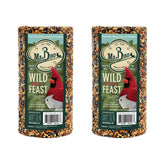 Mr. Bird Wild Bird Feast cylinder in net attracts a diverse backyard bird variety for year-round feeding.