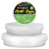 MUDEELA plant saucer 6-inch clear designed to support heavy pots and protect floors.