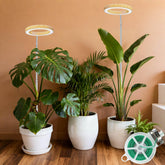 MUSELUCE grow light front view with wood grain finish for stylish indoor gardening