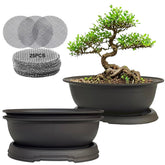 MUZHI 3-pack oval bonsai pots top view with matte finish for seedlings.