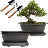 MUZHI 3-pack oval bonsai pot with drainage tray for healthy root growth.