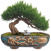 MUZHI 9.5-inch rectangular ceramic bonsai planter with drip tray for tidy watering
