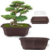 MUZHI bonsai planter 8-inch back view with drainage holes for healthy roots