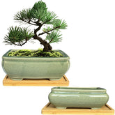MUZHI green ceramic bonsai pot 6.2in with ice-crack glaze for stylish bonsai training
