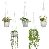 MVOVM macrame plant hanger 5-pack displayed with varied indoor greenery