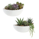 MyGift white ceramic wall planter with half-bowl design for space-saving indoor greenery.