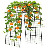 MYMULIKE garden trellis arch 7ft provides sturdy support for climbing vegetables.