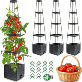 MYMULIKE raised garden bed with trellis supports climbing tomatoes for better growth