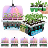 MYMULIKE Seed Starter Tray 60 cells for organized germination and seedling management