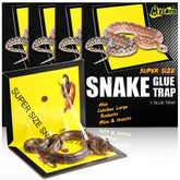 Mysora snake glue trap with large 13x20 surface for wide coverage
