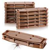 Mysora Spider Trap Indoor front view, ready-to-use brown sticky trap.