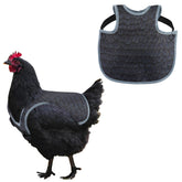 MYWSN chicken saddle back protector on hen, guards feathers during roosting and pecking.