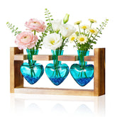 Nacome plant terrarium on wooden stand with three vases for stylish hydroponics display