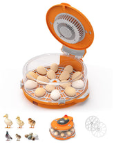 Nailrepro incubator with 15 egg turner for automated incubation