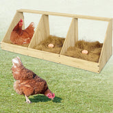 Nalwort chicken nesting box with three compartments guides proper egg laying.