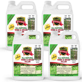 Natural Armor weed killer bottle shows ready-to-use formula for fast weed control.