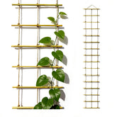 Natural Bamboo Ladder Trellis front view showing sturdy rust-free climbing support