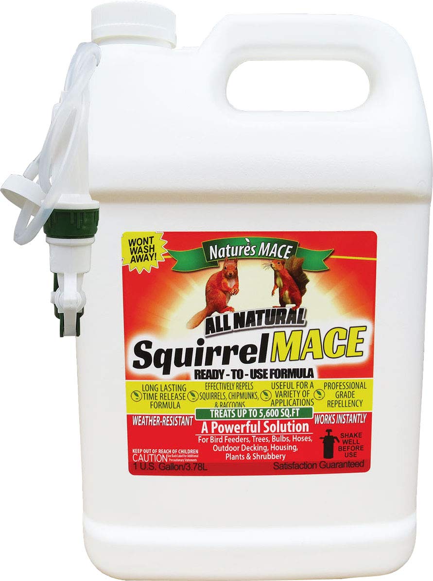Nature's MACE Squirrel Repellent 1 Gal spray protects trees and planters.