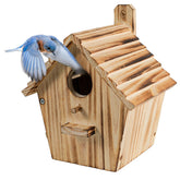 NATUREYLWL bird house with outdoor pole design for easy garden mounting.