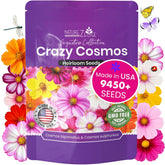 NatureZ Edge Crazy Cosmos seeds pack ready for planting and gifting.
