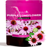 NatureZ Edge Echinacea seeds overview for a pollinator-friendly garden with abundant seed stock.