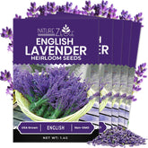 NatureZ Edge lavender seeds pack ready for home planting with high germination potential.