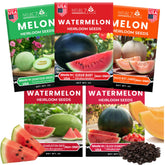 NatureZ Edge Sugar Baby seeds pack for spring planting and sweet harvest.