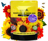 NatureZ Edge sunflower seeds pack for bulk planting with diverse varieties