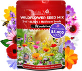 NatureZ Edge wildflower seeds mix 2oz bag showing pure non-GMO variety for outdoor planting