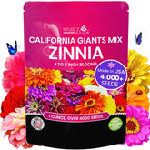 NatureZ Edge Zinnia seeds 1oz bulk ready for quick spring planting.
