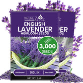 NatureZ Edge lavender seeds packet, ready for home gardening and fragrant blooms.