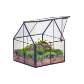 NCYP mini glass terrarium with lid front view, ideal for tiny plants