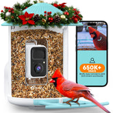 NETVUE Birdfy feeder front view, weatherproof for outdoor use.