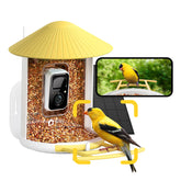 NETVUE Birdfy smart bird feeder front view with yellow housing attracting backyard birds