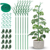 NiHome comprehensive stake set showing all six twigs and extension poles for sturdy climbing plant support.