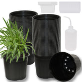Niiiice 60-pack soft plastic pots for easy transplanting and drainage.