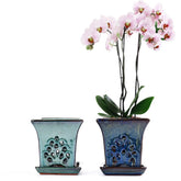 NiSevenLiving ceramic orchid pot with holes and saucer promotes healthy root airflow.
