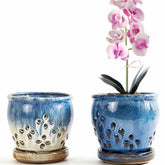 NiSevenLiving orchid pot with side holes for improved air flow and root health
