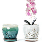 NiSevenLiving orchid pots with holes and attached saucers for clean drainage