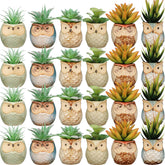Nitial owl succulent pot front view adds a cute decor touch for small plants