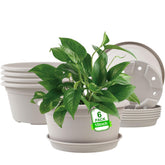 NNARRE 6-pack 10-inch pots with rolled rims for stylish indoor display and easy handling
