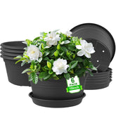 NNARRE 10-inch pot with rolled rim for easy lifting and stylish display
