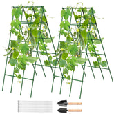 No Assembly Required Cucumber Trellis front view showing sturdy, ready-to-use garden support for cucumbers
