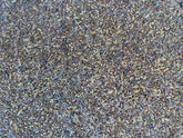 No-Till Solutions premium poultry seeds bag ready for diverse pasture grazing.