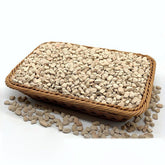 NOHOBE diatomite rocks substrate inside improves aeration for plants