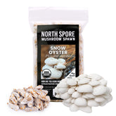 North Spore Snow Oyster plug close-up for easy outdoor log cultivation.