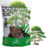 Nova-TERRA bonsai soil mix ready to use in a pot for easy planting.